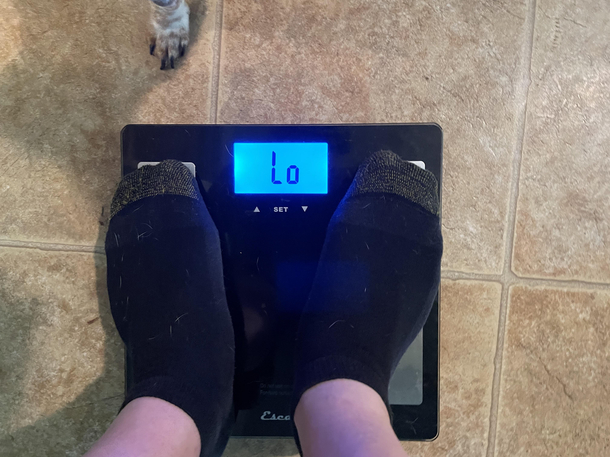 Finally reaching my weight loss goals