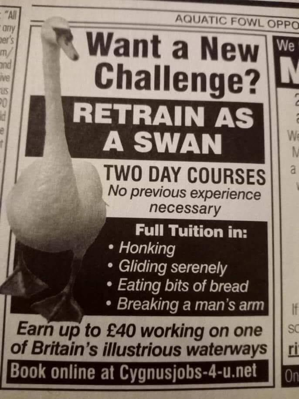 Finally something I can be good at