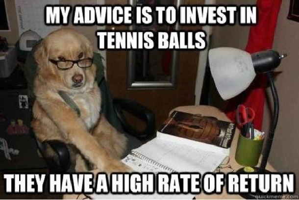 financial advice dog needs to make a return