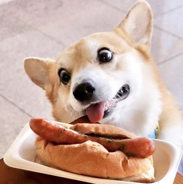 Find some one who looks at you like this