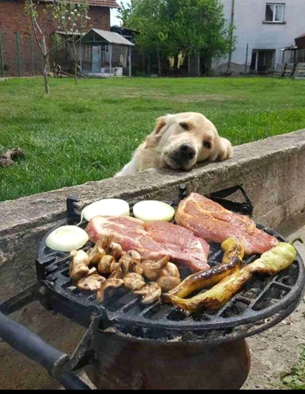 Find someone who lives you as much as this guy