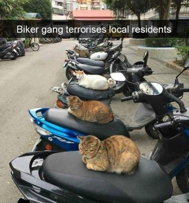 Find the forth one