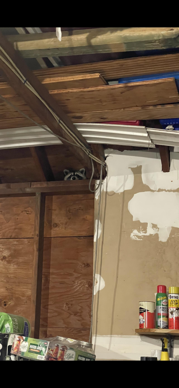 Find what doesnt belong in my garage