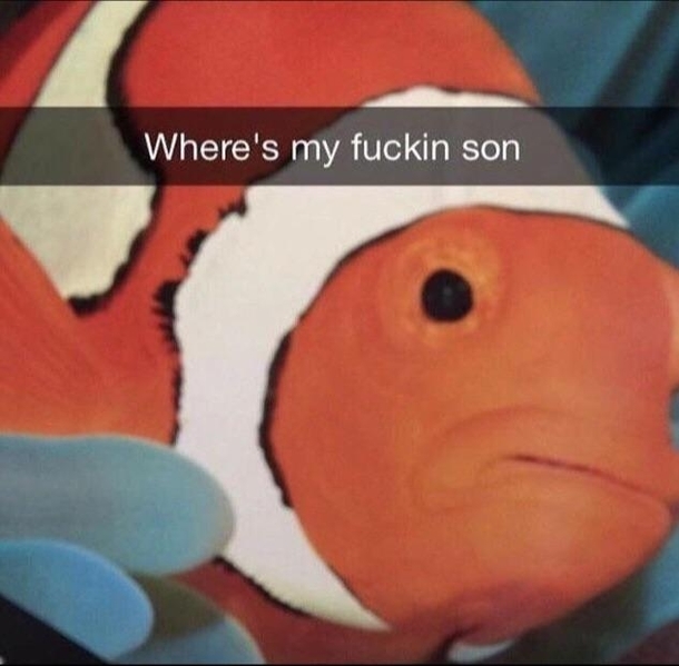Finding Nemo unrated version