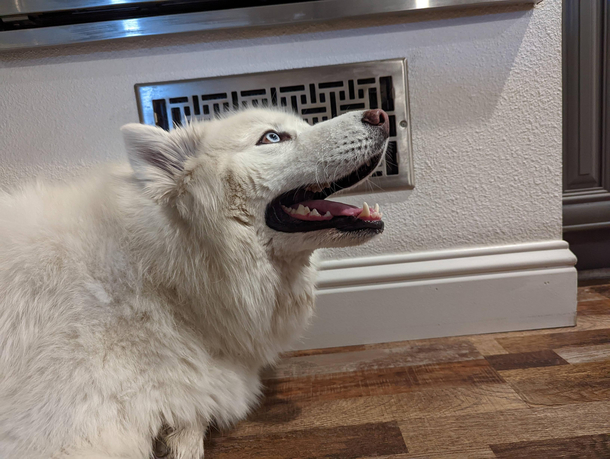 Finding the AC on a hot day