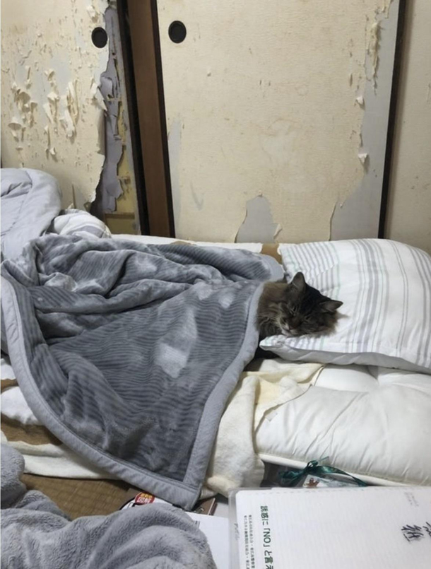Finished wrecking the walls Imma take a nap now