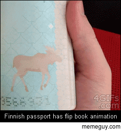 Finnish Passport