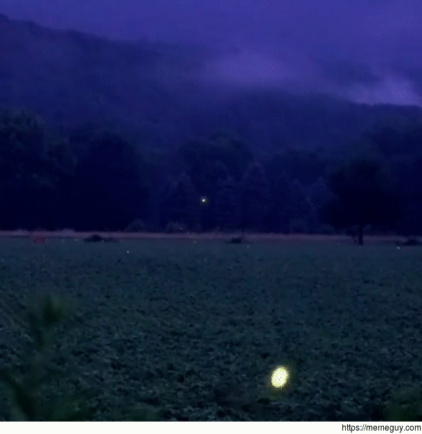 Fireflies over a field at night