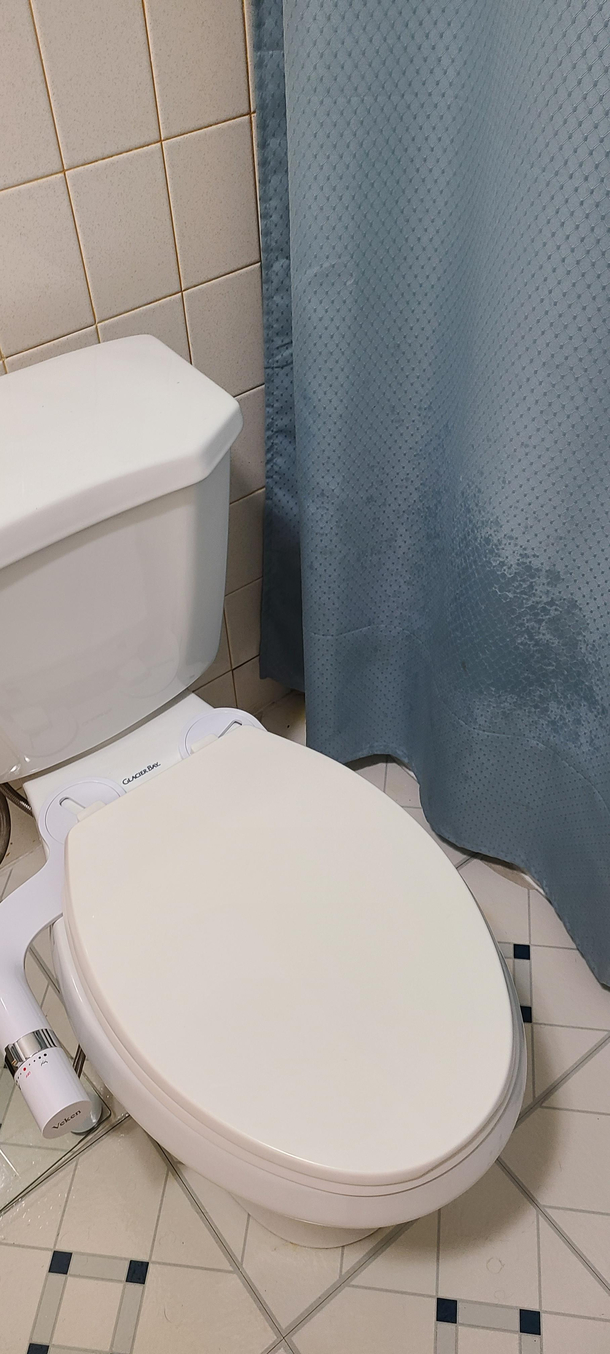 First bidet attempt