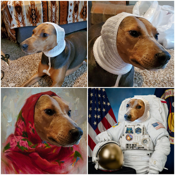 First came the cone of shame then came the sock of fame