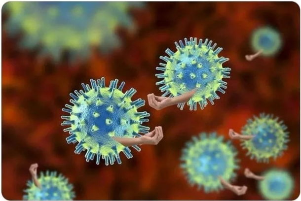 First case of CoronaVirus in Brazil came from Lombardia Italy It already mutated looks like this