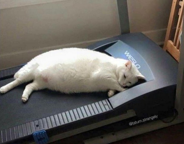 First day at the Gym
