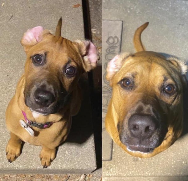 First day at your new job vs One year later
