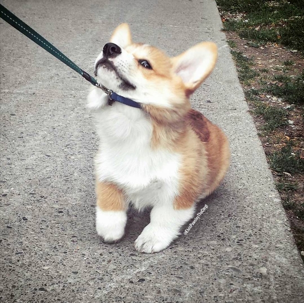 First day of school