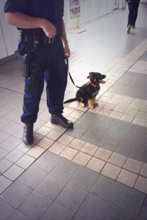 First day on the job