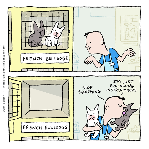 First Day Working at the Pet Store