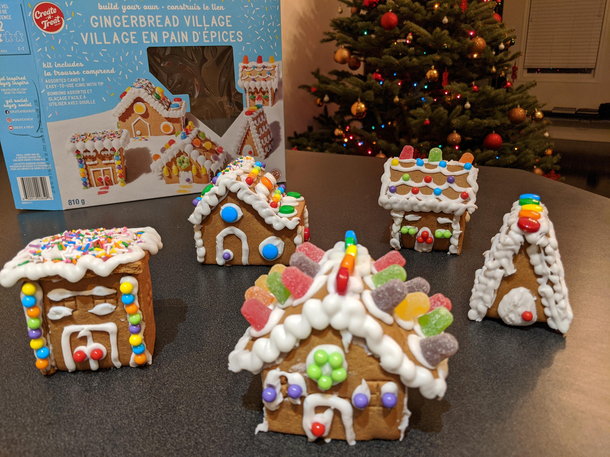 First Gingerbread Village Ive built since I was a kid