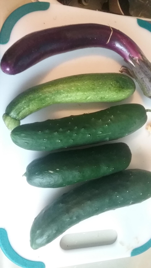 First harvest of dildos from my dildo garden