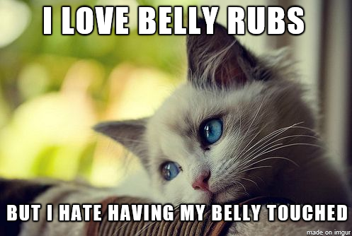 First World Cat Problems