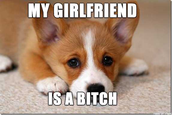 First World Dog Problems