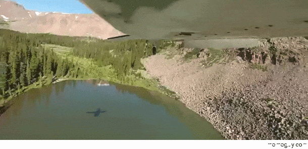 Fish get AIRDROPPED