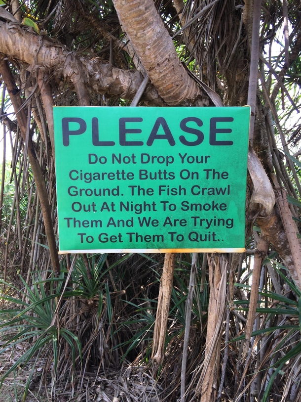 Fish please stop