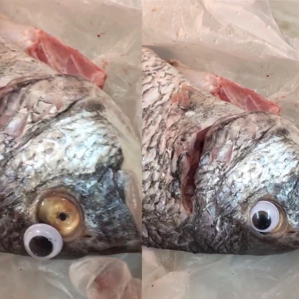 Fish shop in Kuwait got closed because the faked the eyes of the fish so they look fresh