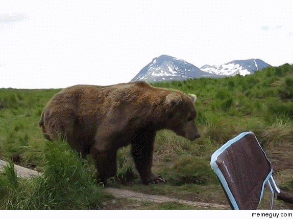 Fisherman makes a friend