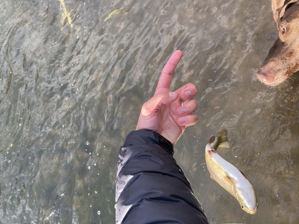 Fishing skills gt photography skills