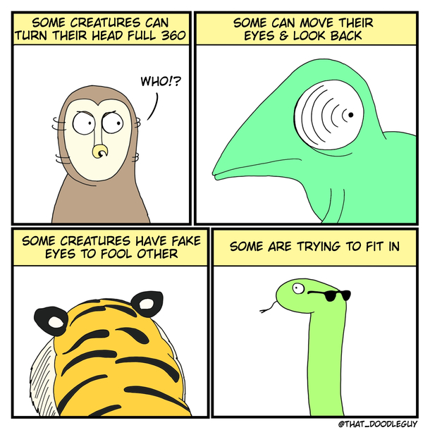 Fit in 