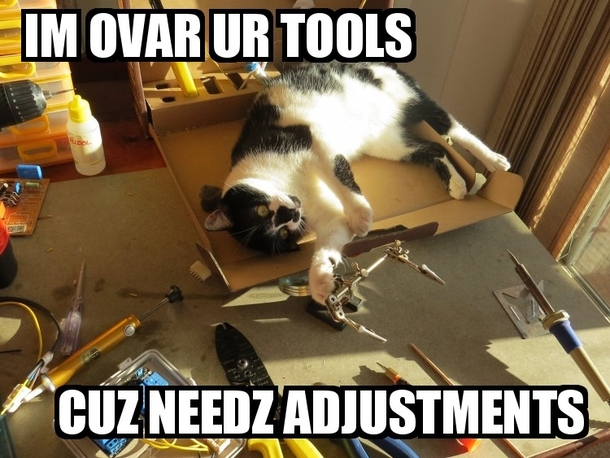 Fixing the cat