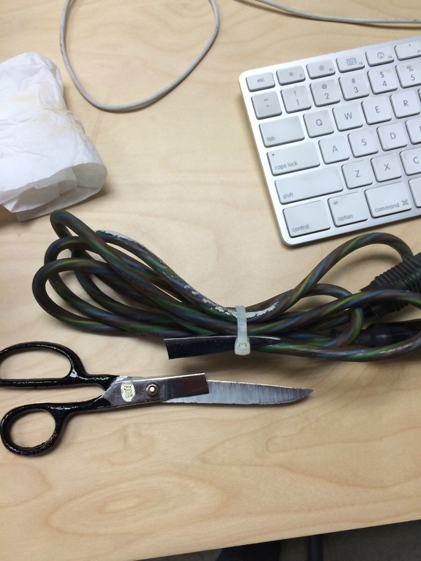 Fking zip ties