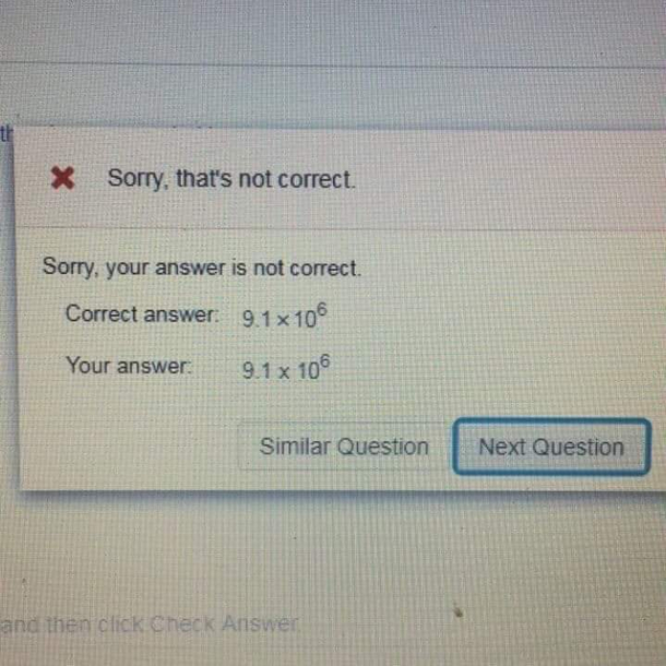 flashbacks to college