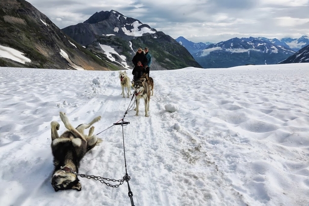 Flat tire in Alaska