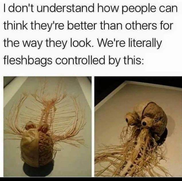 Fleshbag Controller