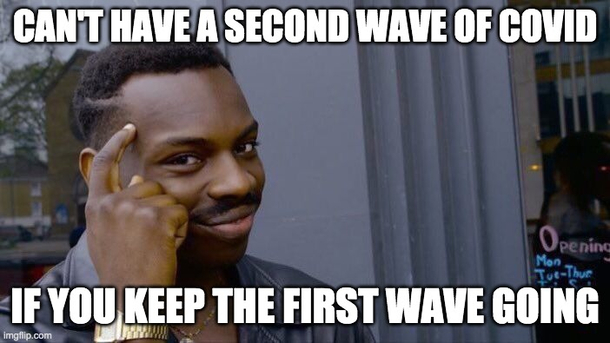 Florida has a unique COVID strategy