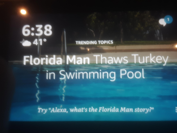 Florida Man Back At It Again