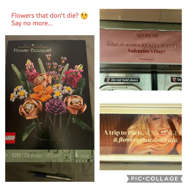 Flowers that dont die 