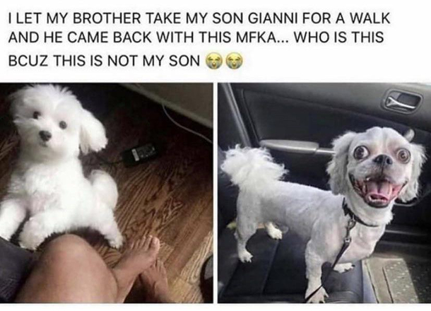 Fluff makes all the difference