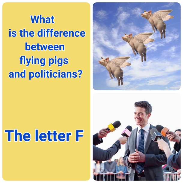 Flying Pig