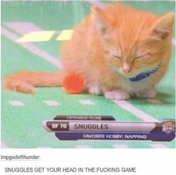 Focus you pussy