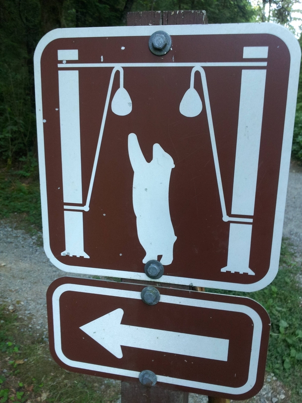 Followed the sign hoping to see a bear playing with balloons Was disappointed