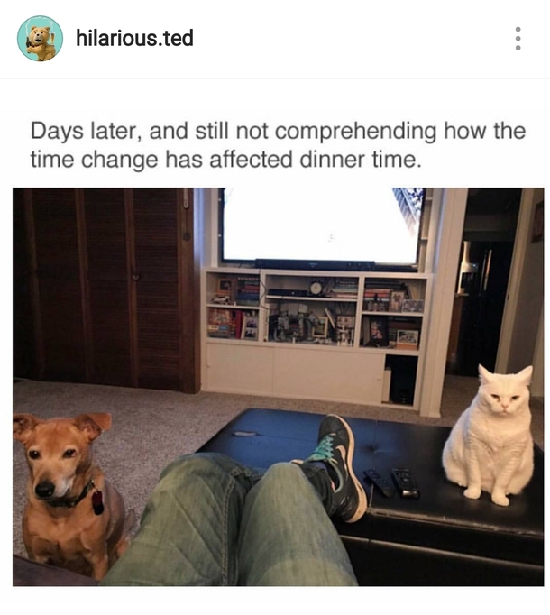 Food Now