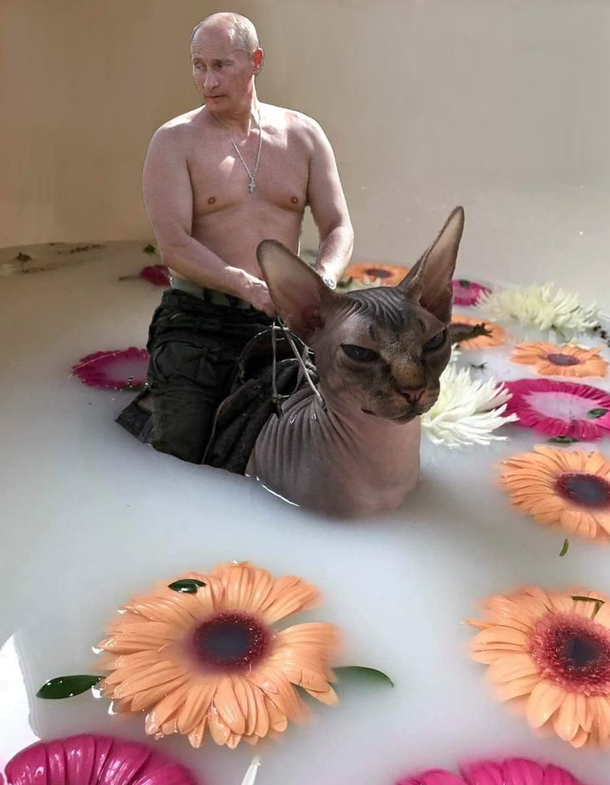 For my friends sorting by new I present