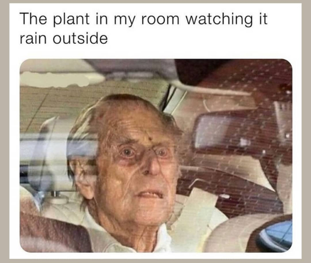 For my indoor gardening hobby friends