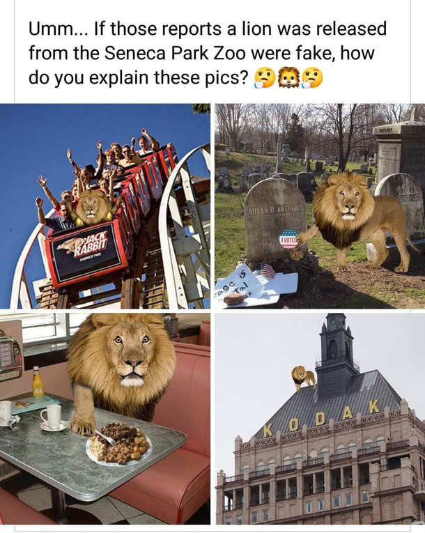 For my Rochester NY peeps