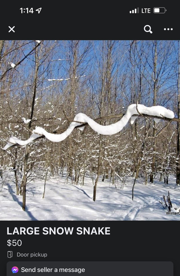 For sale one large snow snake Comes with free food