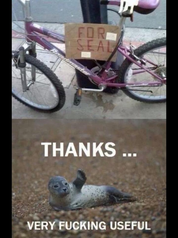 For Seal