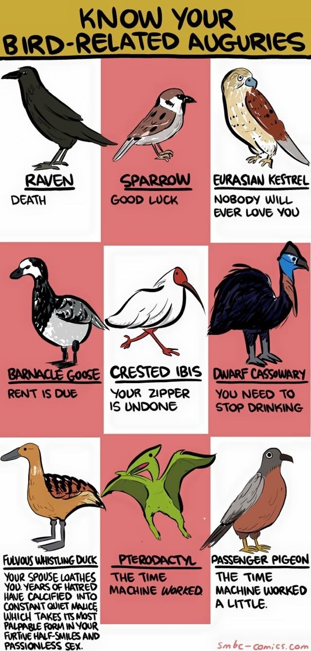 For the birds