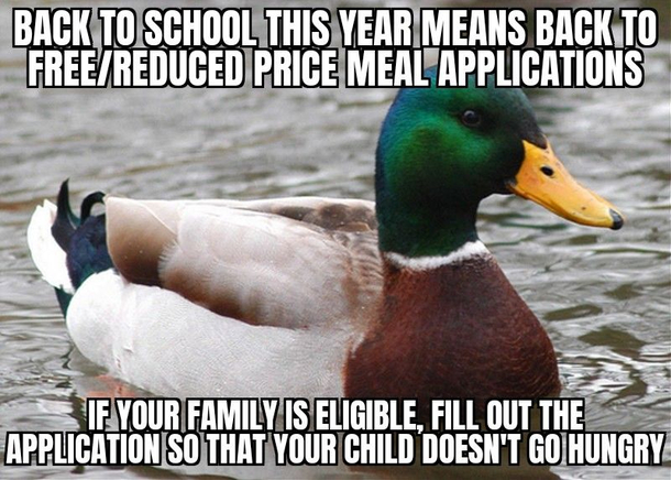 For the upcoming school year in America universal school meals are no longer in effect